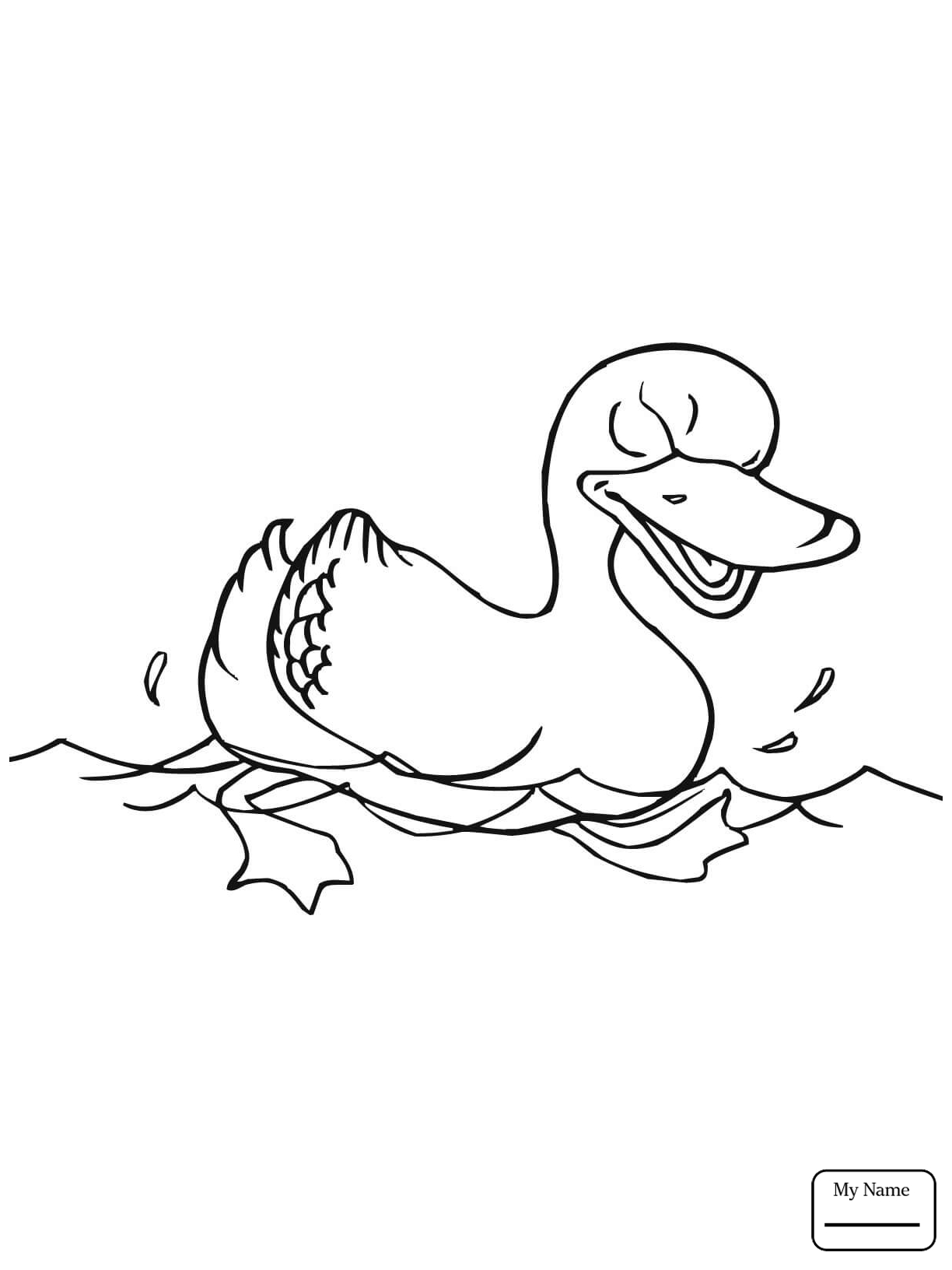 1224x1632 It S Here Pond Animals Coloring Pages Birds Du