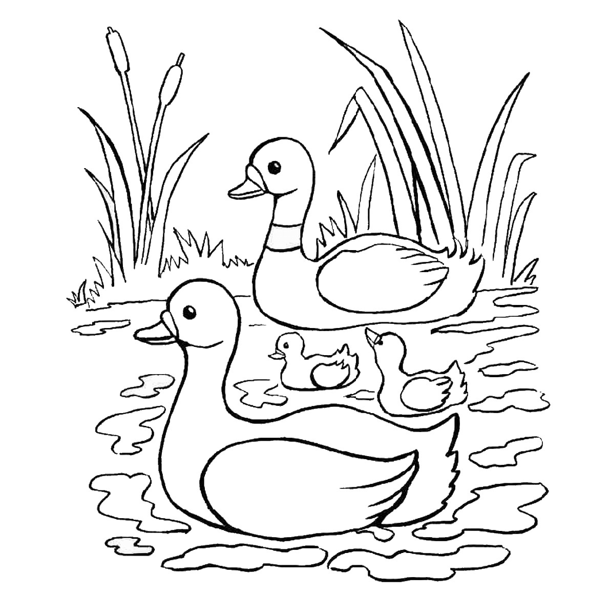1150x1200 Pond Animals Coloring Pages