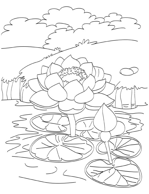 612x792 Pond Coloring Page Pond Animals Coloring Page Just Colorings