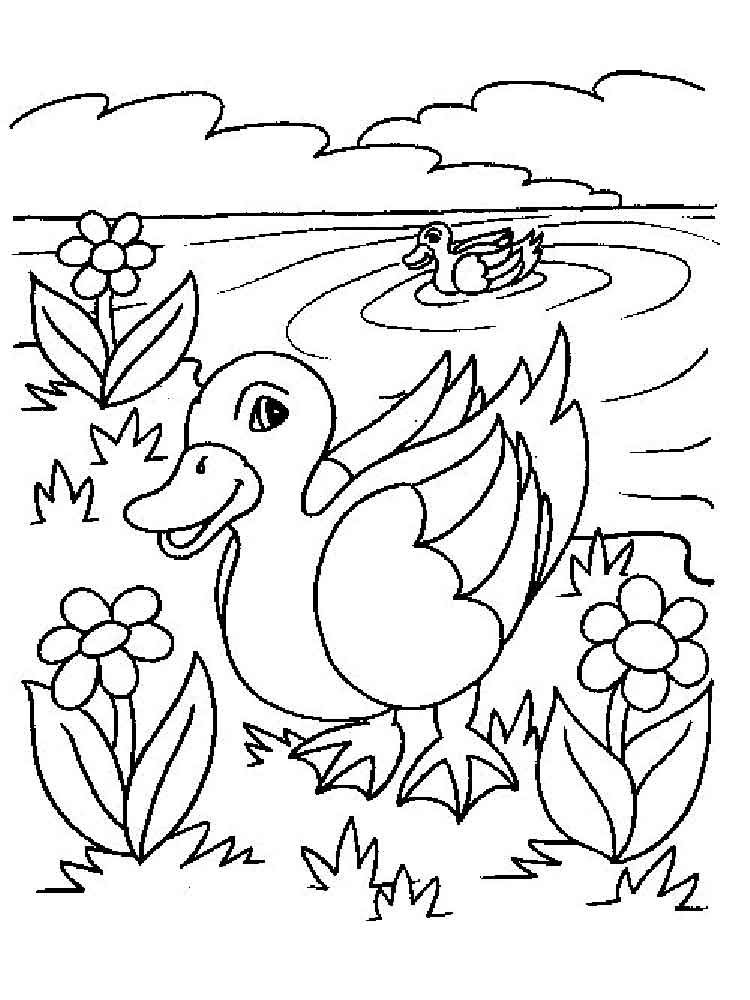 750x1000 Pond Coloring Page Preschool