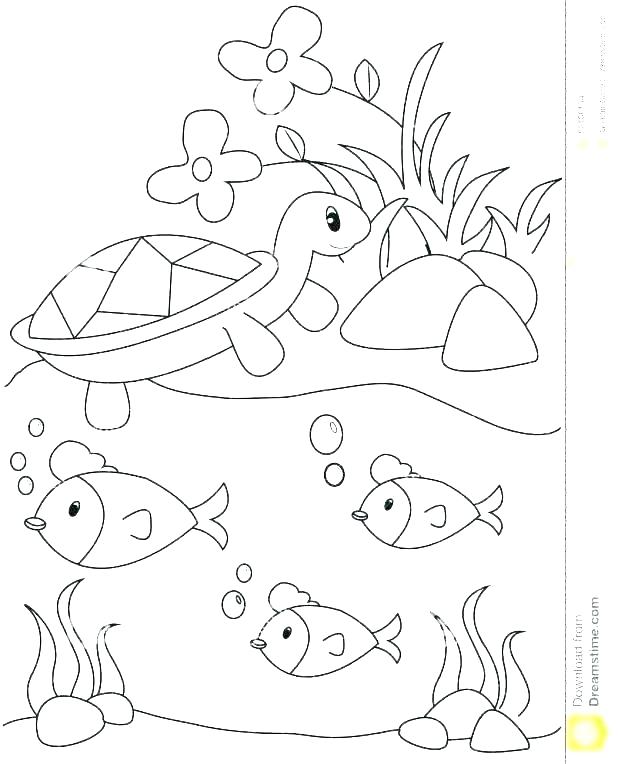 618x764 Pond Animals Coloring Pages Pond Coloring Page Plants Coloring