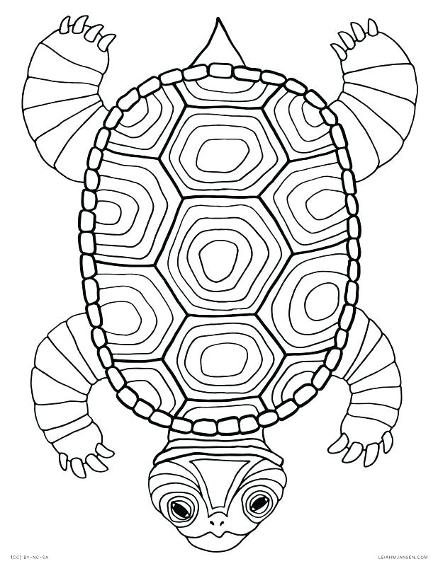 618x800 Pond Coloring Page Turtle Dude Decorated Shell Free Printable Pond