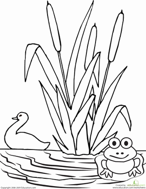 301x388 Pond Coloring Pages Gallery Color The Pond Worksheet