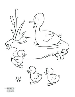309x400 Pond Coloring Pages Pond Coloring Page Duck Pond Coloring Page