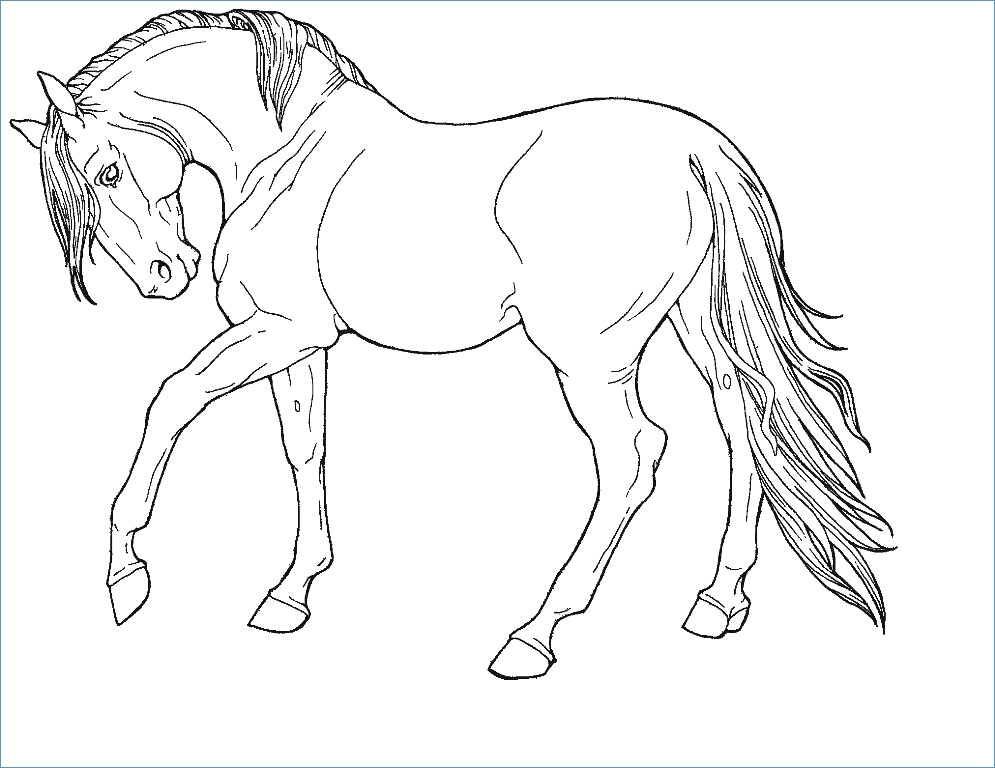 995x768 Cute Pony Horse Coloring Page