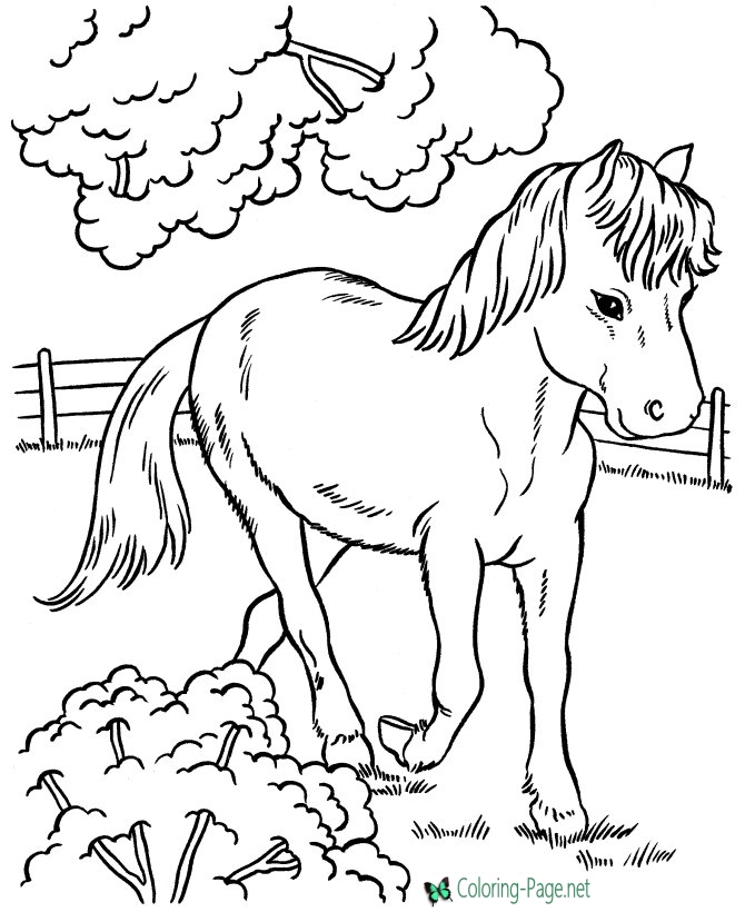 670x820 Farm Pony Horse Coloring Pages