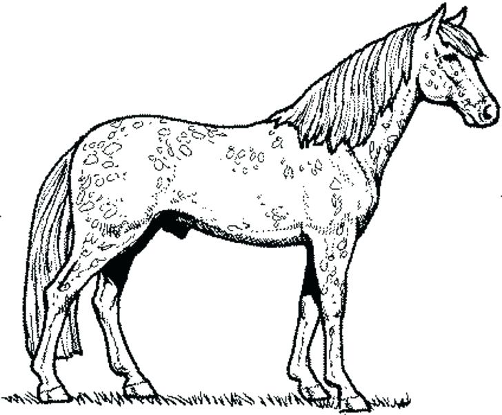 Pony Horse Coloring Pages at GetDrawings | Free download