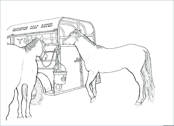 736x535 Coloring Pages Of Horses Ponies Coloring Pages Of Horses
