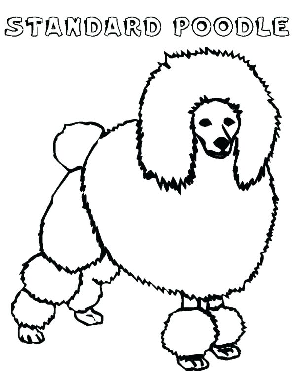 600x788 Poodle Coloring Page Glamorous Poodle Coloring Page Crayola Photo