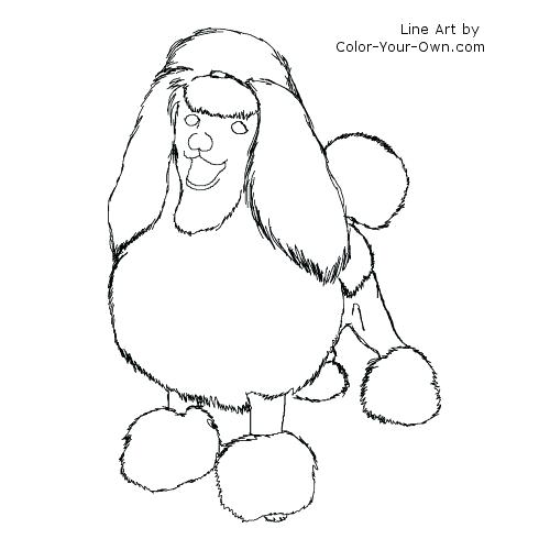 500x500 Toy Or Miniature Poodle Show Cut Coloring Page Back