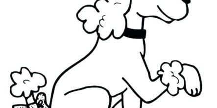 443x220 Cute Poodle Coloring Pages Design And Ideas Page