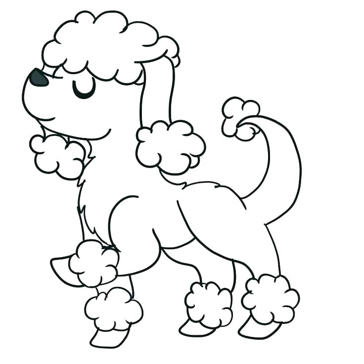 736x736 March Poodle Coloring Page Poodle Coloring Pages To Print Poodle