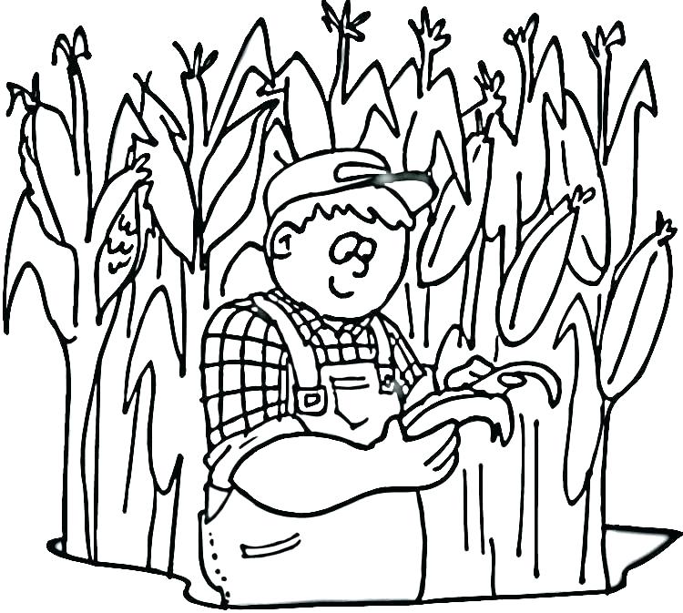 750x673 Corn Coloring Sheets Squash Coloring Page Vegetables Corn Coloring