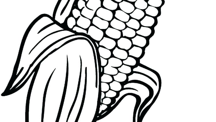750x425 Corn Coloring Pages Christian Candy Page Printable Best Ideas