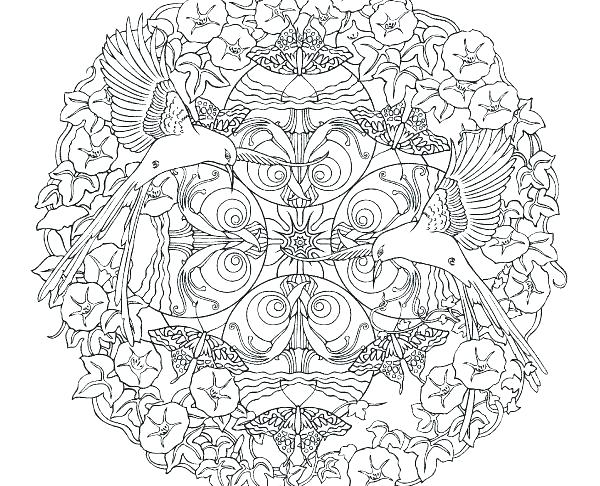600x486 Nature Coloring Page Coloring Pages For Adults Nature Nature