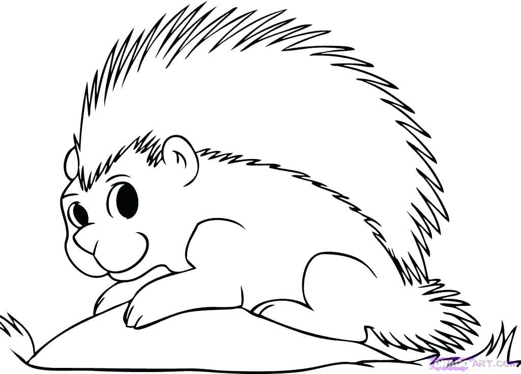 1024x736 Porcupine Coloring Page Porcupine Coloring Page Porcupine Coloring
