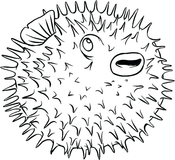 600x547 Porcupine Coloring Page Porcupine Coloring Pages Porcupine