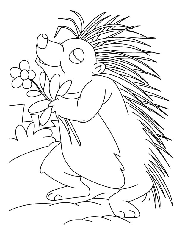 612x792 Porcupine Coloring Pages