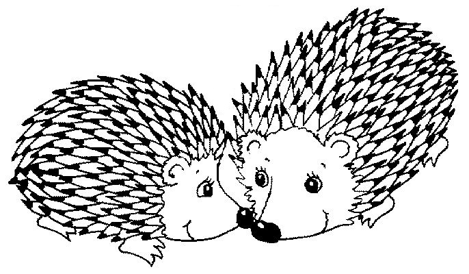 686x400 The Fable Of The Porcupines Stories For Muslim Kids