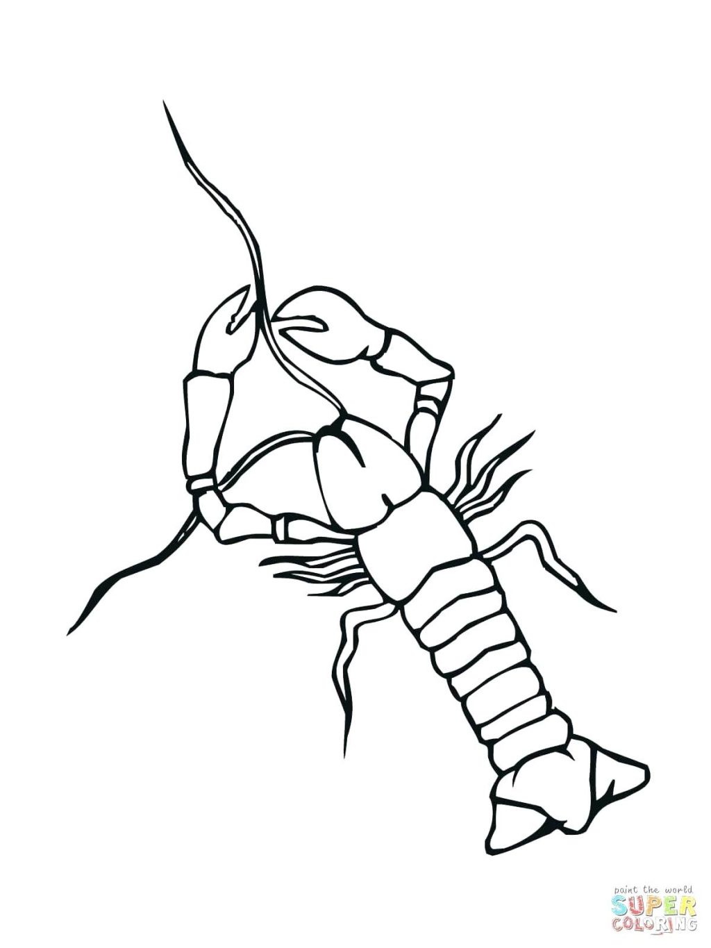 1024x1365 Coloring Page Porcupine Coloring Page Crayfish Free Printable