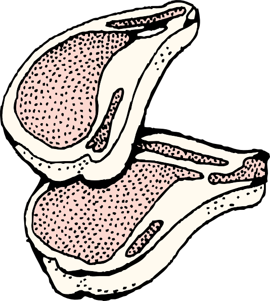 534x594 Pork Chops Clip Art