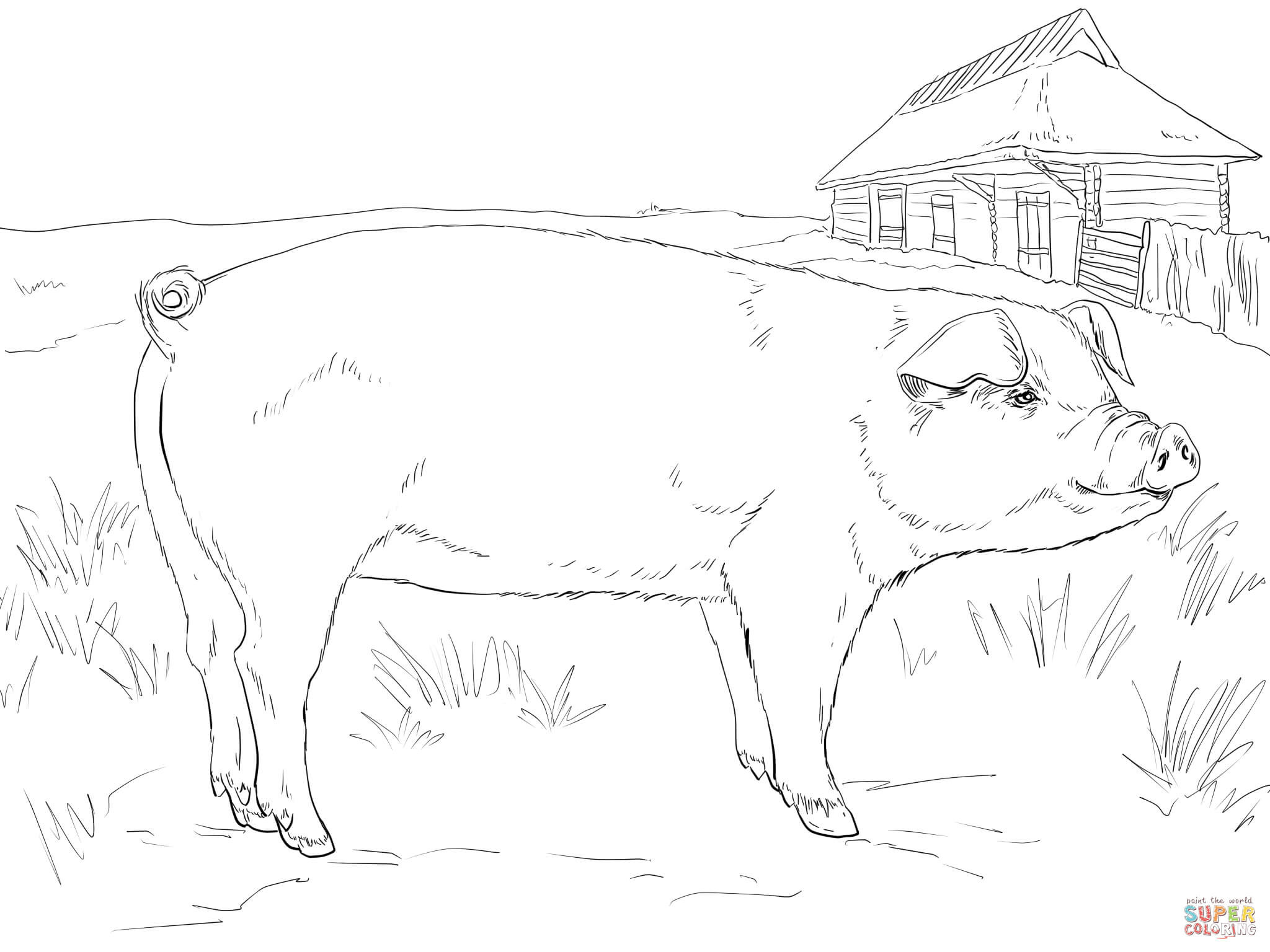 2048x1536 Coloring Page Adults Baby Pork Adult Pages Pigs