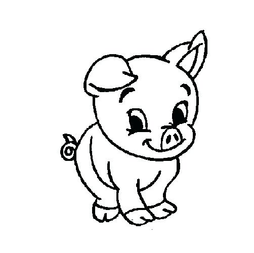 502x500 Coloring Pigs Coloring Pages Porky Pig Printable Pigs Coloring Pages