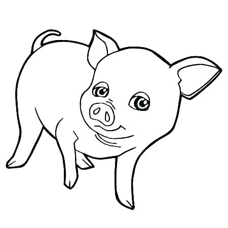 450x450 Porky Pig Coloring Pages