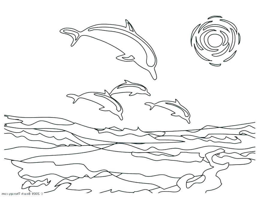Porpoise Coloring Pages at GetDrawings | Free download