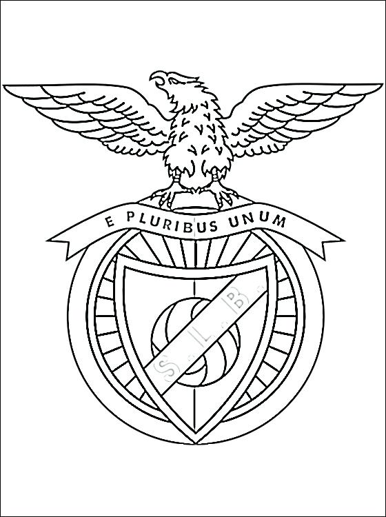 560x750 Portugal Flag Coloring Page Flag Coloring Page Elegant Flag