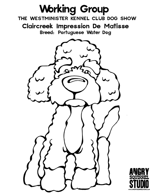 500x647 Westminster Kennel Club Dog Show