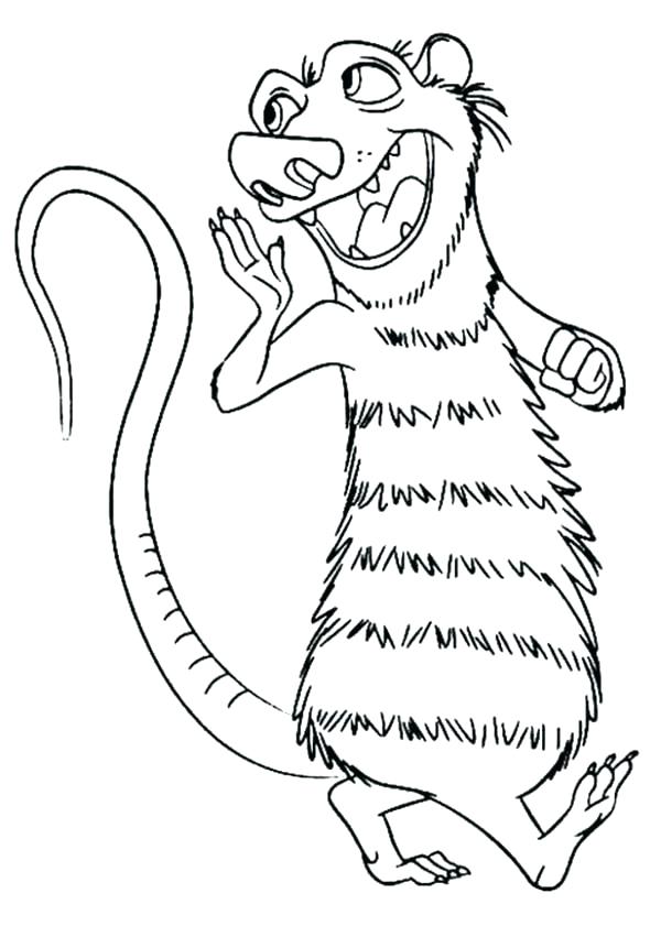 600x841 Opossum Coloring Pages Opossum Coloring Pages Possum Animal