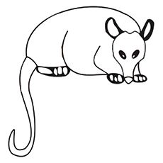 230x230 Opossum Crafts