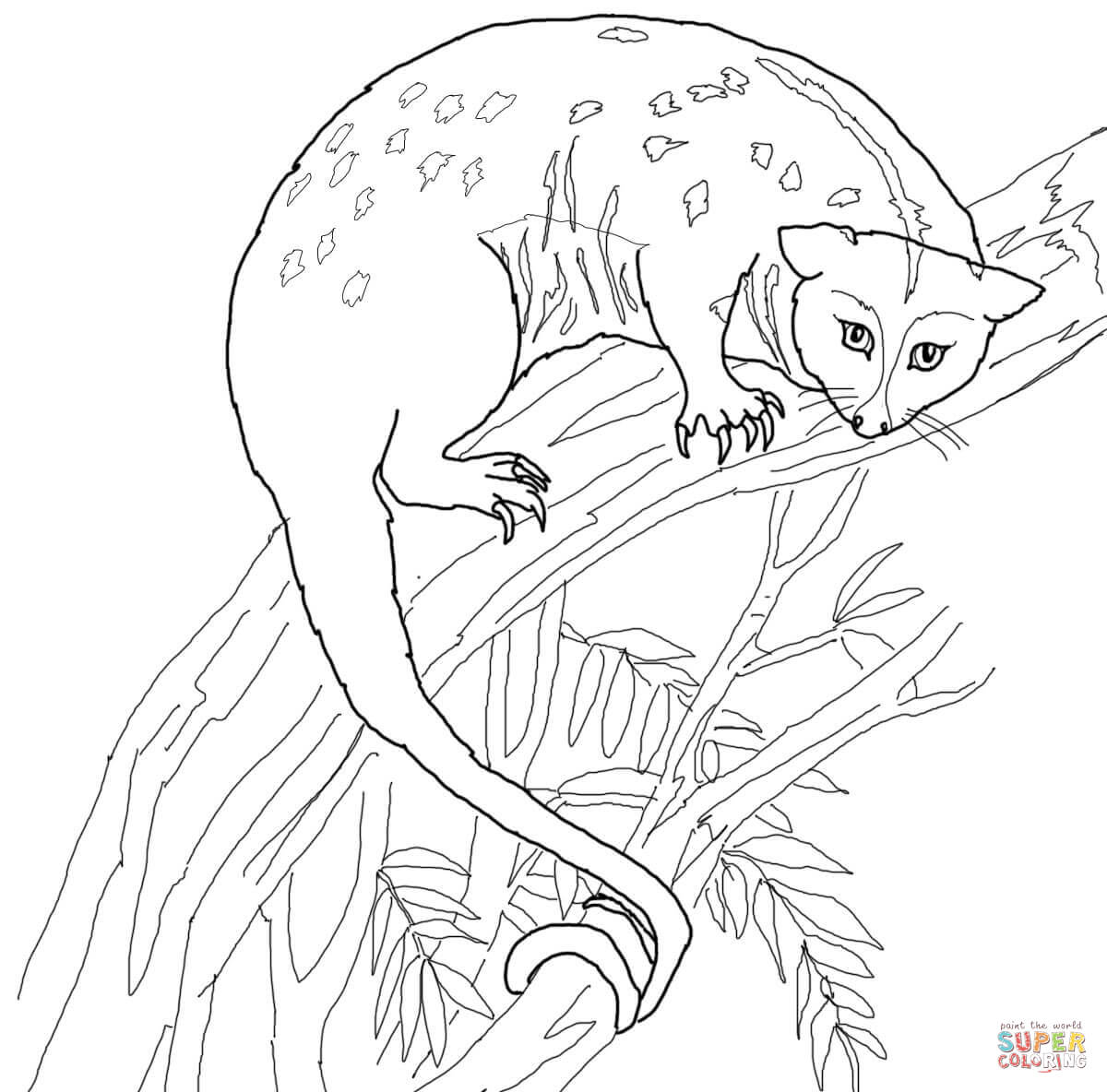 1200x1184 Latest Possum Coloring Page Free Printable Pag