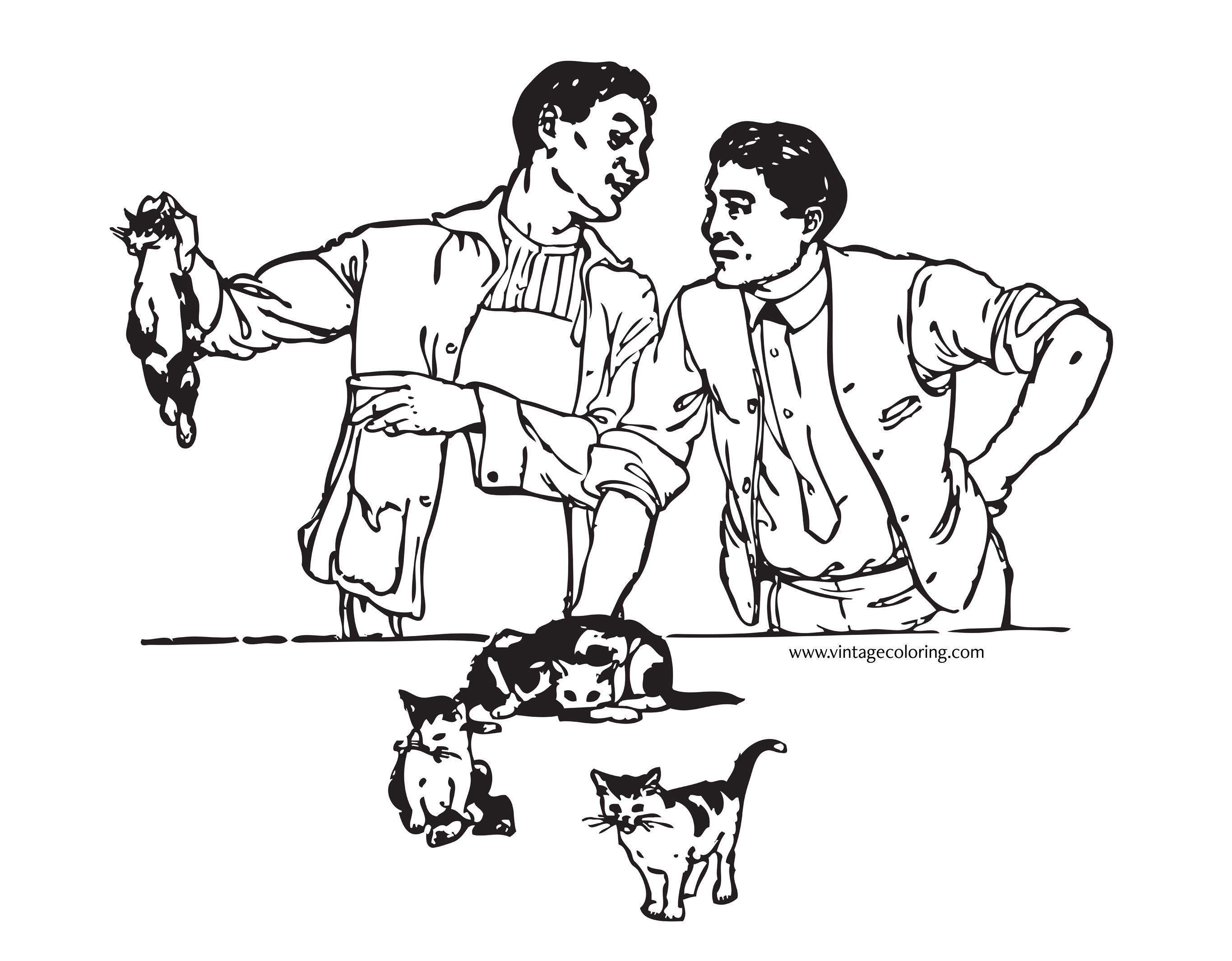 2730x2130 Tommy Postoffice, The Cat