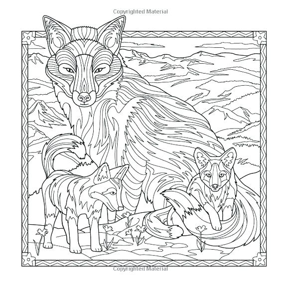 564x564 Wolf Coloring Book For Adults