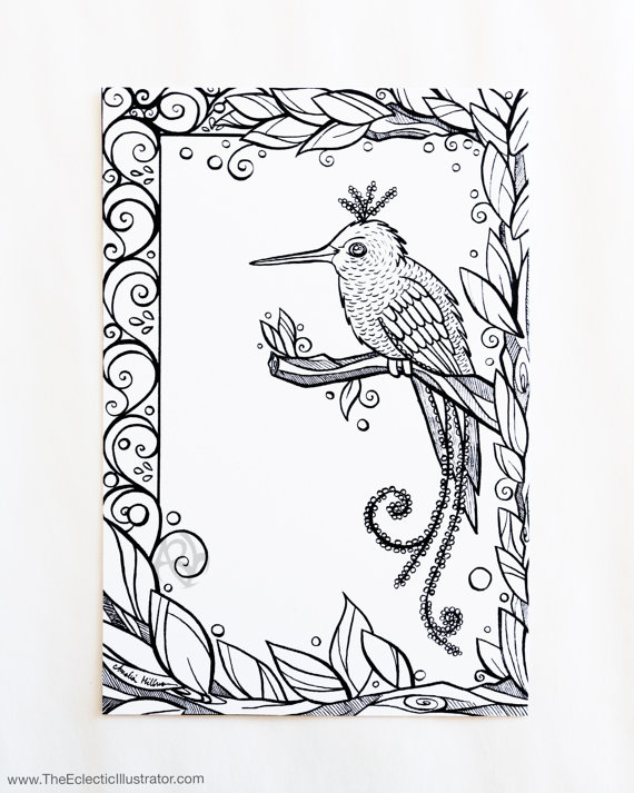 570x713 Coloring Book Postcards