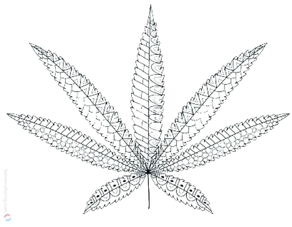 1000x780 Leaf Coloring Pot Page Pages Pot Leaf Coloring Page Pages Pot Leaf