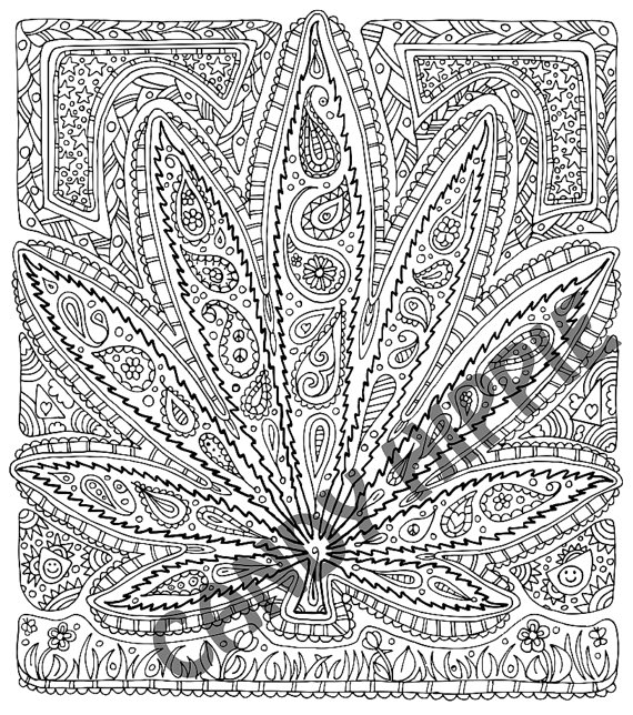 570x644 Adult Coloring Page Got Leaf Printable Pot Leaf Coloring