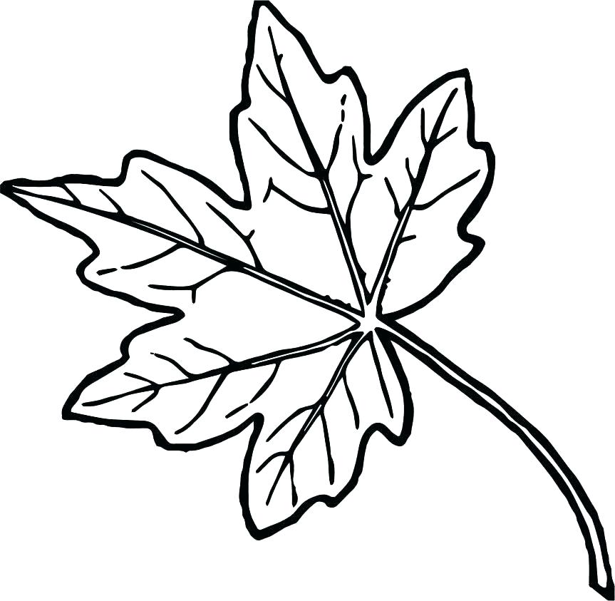 863x843 Fall Leaf With Maple Tree In Fall Leaf Coloring Page Pot Leaf
