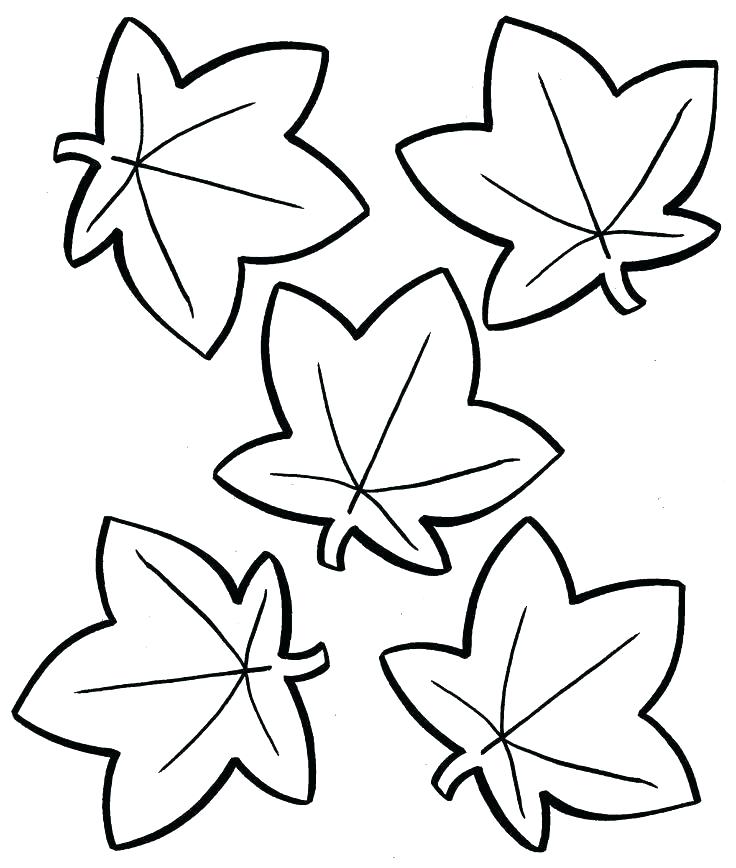 736x868 Leaf Coloring Pages Free Printable For Kids As Well As Fall Leaves