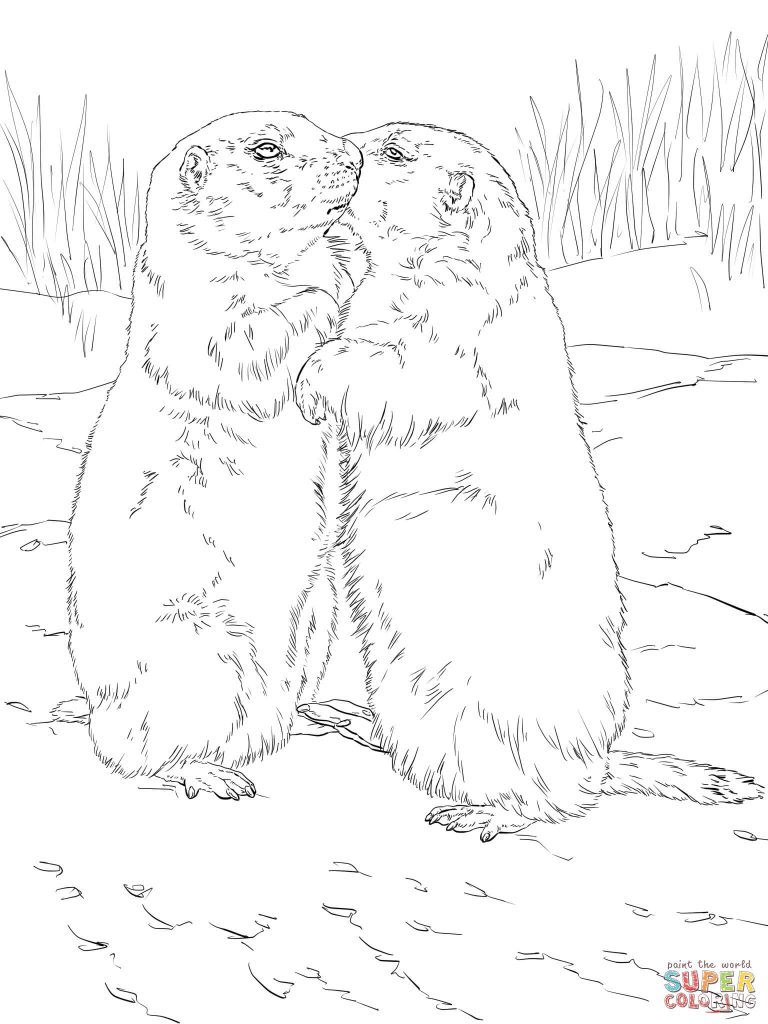 768x1024 Kissing Prairie Dogs Coloring Page Print Download