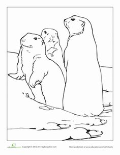 236x304 Prairie Dog Worksheets And Desert Animals
