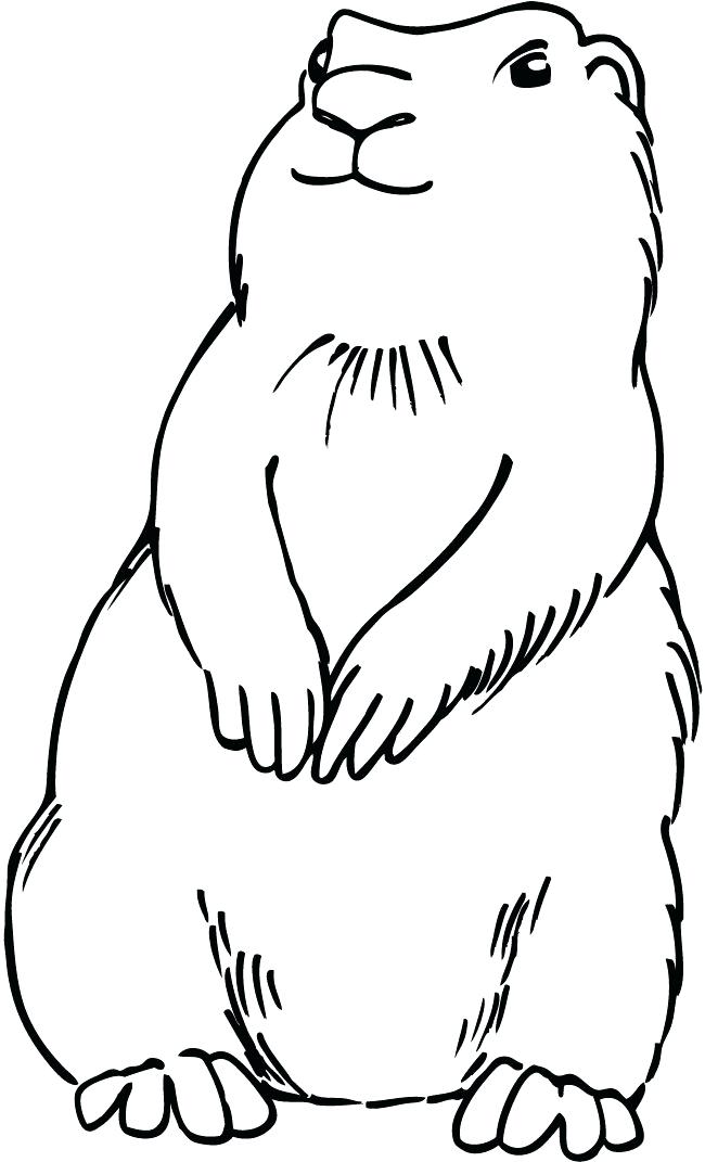 650x1071 Prairie Dog Coloring Page