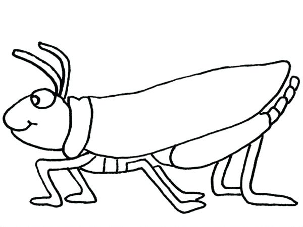 Praying Mantis Coloring Page