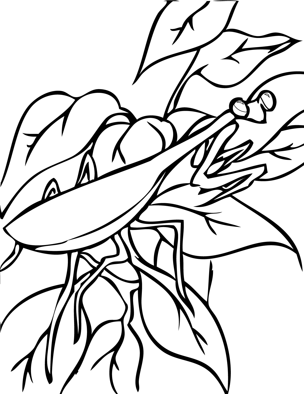 1275x1650 Praying Mantis Coloring Page