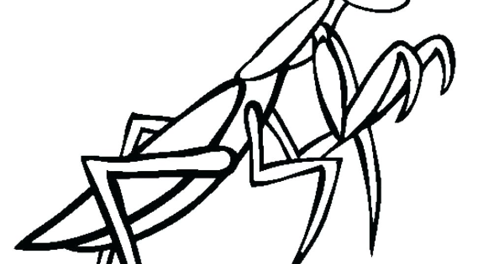 1024x537 Grasshopper Coloring Pages Praying Mantis Life Cycle Coloring Page