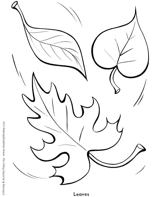 670x820 Pre K Coloring Pages Icontent