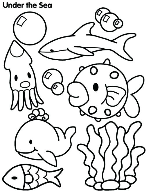 520x659 Ocean Animals Coloring Pages Enchanting Ocean Animals Coloring