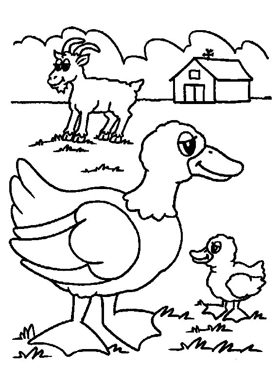 576x757 Farm Animal Coloring Pages For Preschoolers Preschool Farm